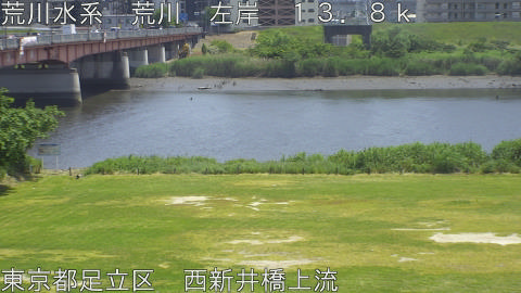 arani2026051813_image