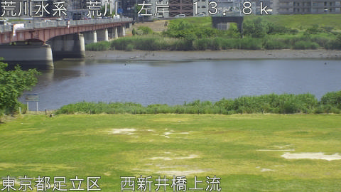 arani2026051814_image