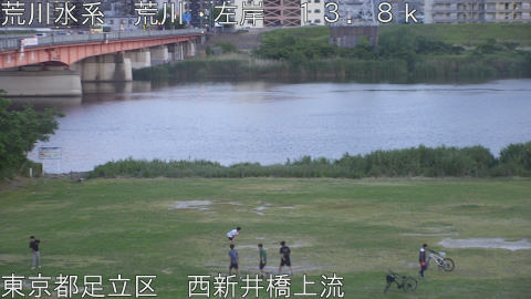 arani2026051819_image