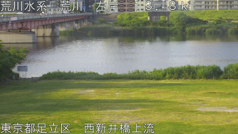 arani2026051906_image