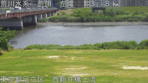 arani2026051913_image