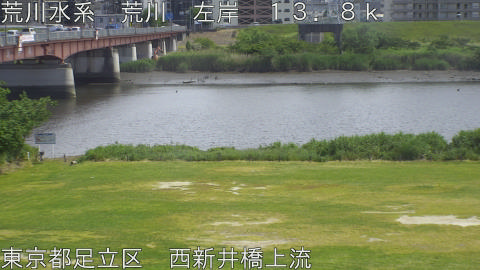 arani2026051914_image