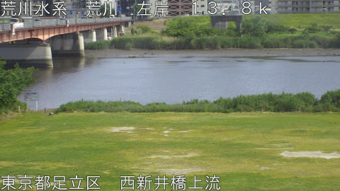 arani2026051915_image