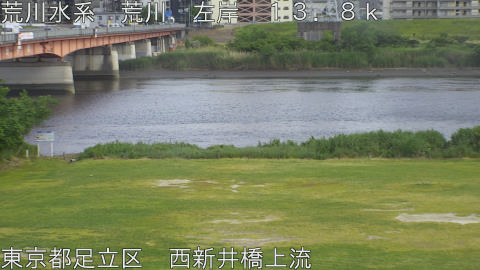 arani2026051916_image