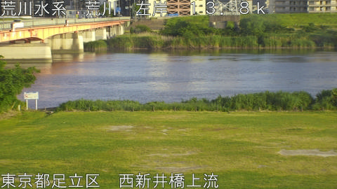 arani2026051918_image