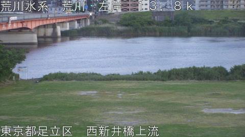 arani2026051919_image