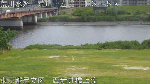 arani2026052014_image
