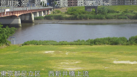 arani2026052015_image
