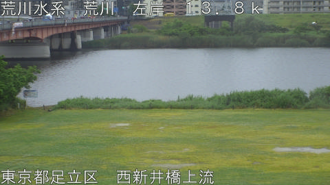 arani2026052110_image