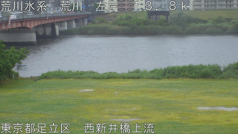 arani2026052112_image
