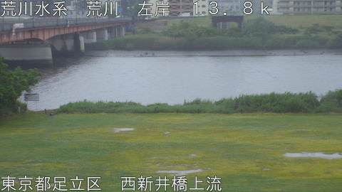 arani2026052114_image