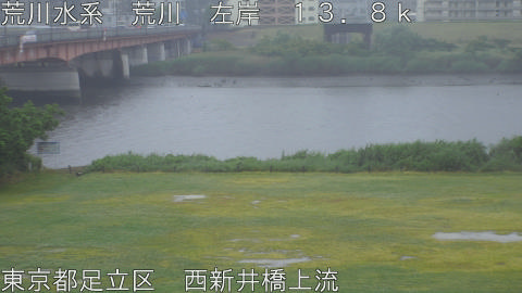 arani2026052115_image