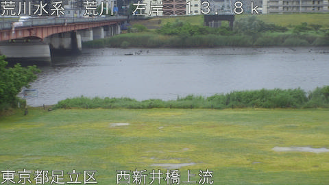 arani2026052116_image