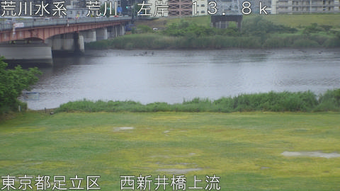 arani2026052117_image