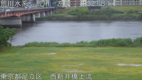 arani2026052118_image