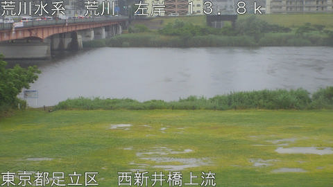 arani2026052208_image