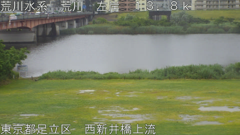 arani2026052209_image