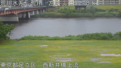 arani2026052213_image