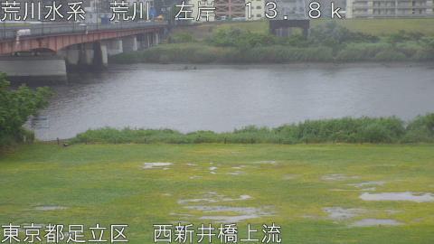 arani2026052214_image