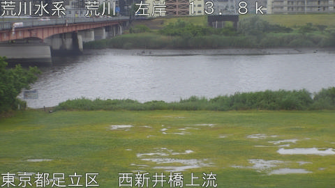 arani2026052215_image