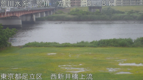 arani2026052217_image