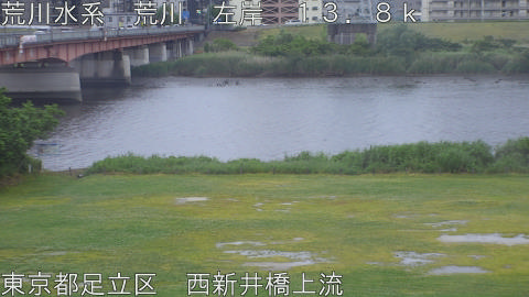 arani2026052218_image