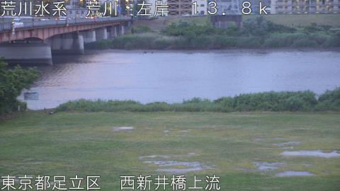 arani2026052219_image
