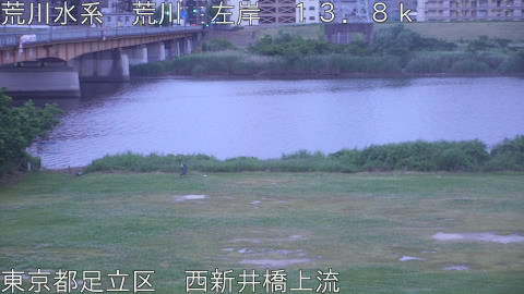 arani2026052305_image