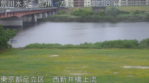 arani2026052306_image