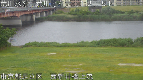 arani2026052308_image