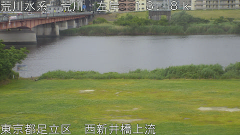 arani2026052309_image