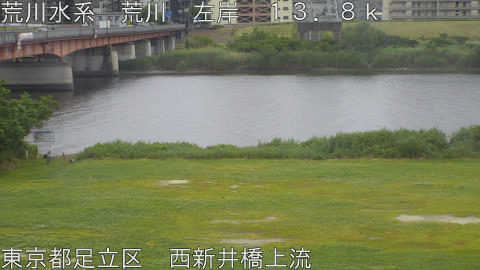 arani2026052313_image
