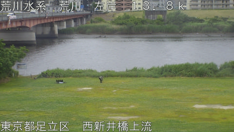 arani2026052316_image