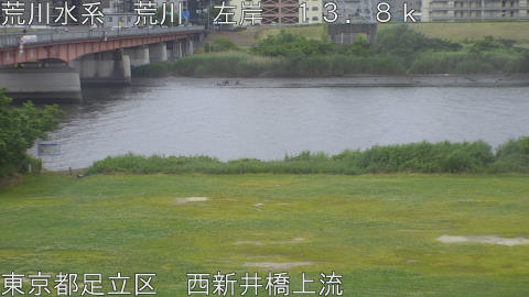arani2026052317_image
