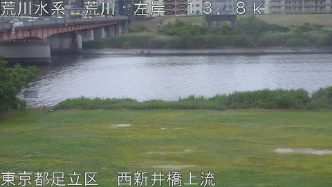 arani2026052318_image