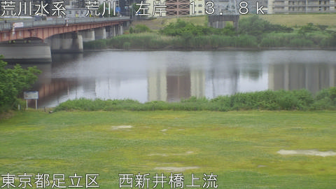 arani2026052407_image