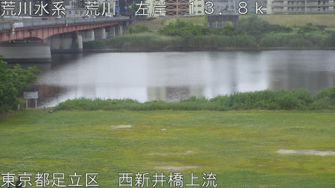 arani2026052408_image