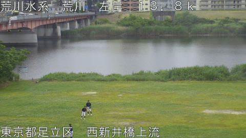 arani2026052410_image