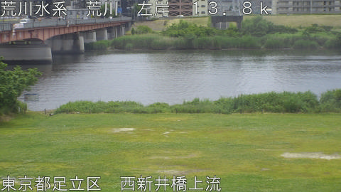 arani2026052412_image