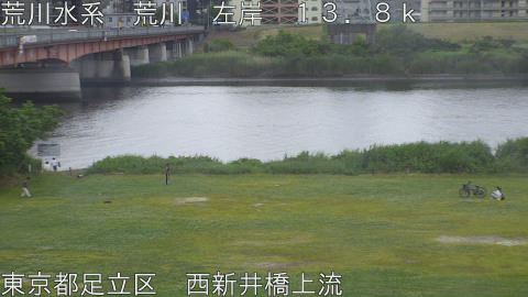arani2026052416_image