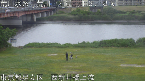 arani2026052417_image