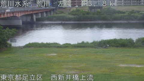 arani2026052418_image