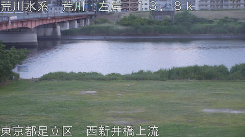 arani2026052419_image
