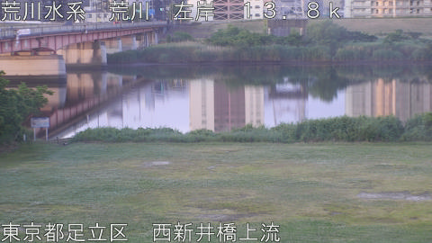 arani2026052505_image