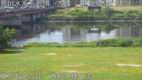 arani2026052509_image