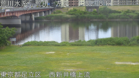 arani2026052511_image
