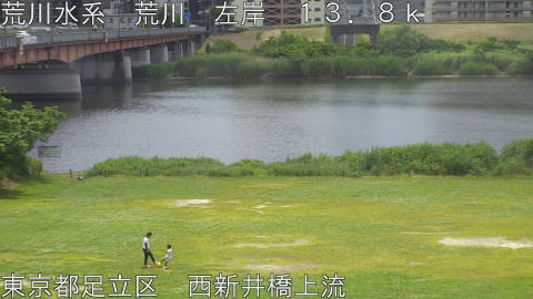 arani2026052512_image
