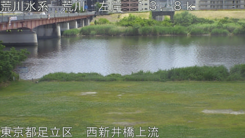 arani2026052513_image