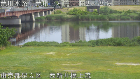 arani2026052514_image