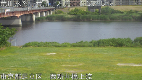 arani2026052515_image
